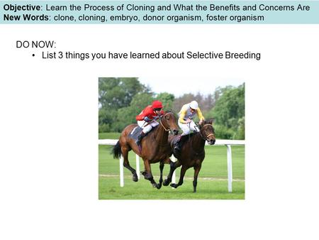 DO NOW: List 3 things you have learned about Selective Breeding Dolly Objective: Learn the Process of Cloning and What the Benefits and Concerns Are New.