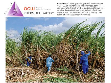 BIOENERGY. The sugars in sugarcane, produced from CO 2, H 2 O, and sunshine via photosynthesis, can be converted into ethanol, which is used as an alternative.