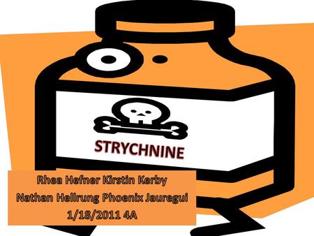 Source STRYCHNINE IS MADE FROM THE BERRIES OF THE PLANT STRYCHNOS NUX VOMICA. THE PLANT IS FOUND IN SOUTHERN ASIA. STRYCHNINE BERRIES ARE FLESHY AND ORANGE.