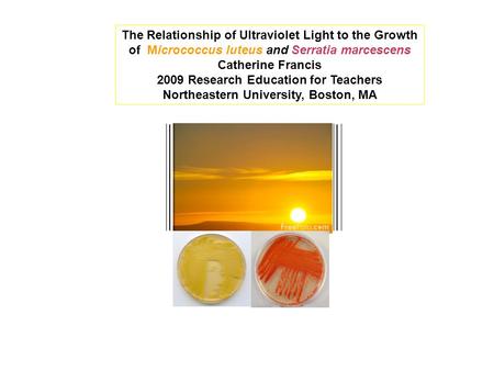 The Relationship of Ultraviolet Light to the Growth of Micrococcus luteus and Serratia marcescens Catherine Francis 2009 Research Education for Teachers.