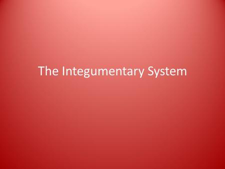 The Integumentary System. The Skin The largest organ in the body – Covers the entire body Function: acts a a barrier against infection and injury, helps.