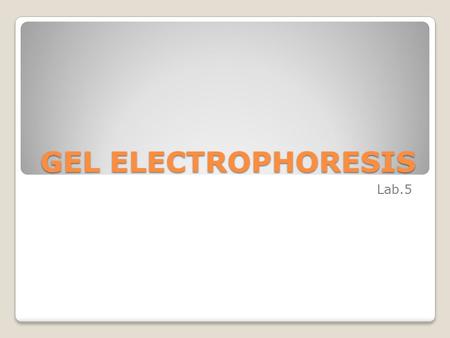 GEL ELECTROPHORESIS Lab.5. Gel electrophoresis is a method used to separate nanoparticles by charge or size. It is used to: 1. separate a mixed population.