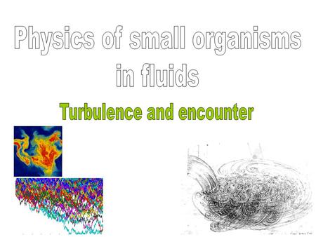 Turbulence: an intuitive understanding Found in all fluids at a variety of scales Soap bubble Circulation in the atmosphere of Jupiter Magnetically stirred.