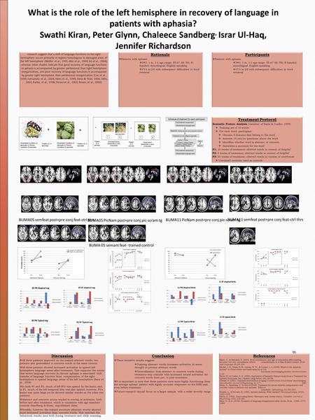What is the role of the left hemisphere in recovery of language in patients with aphasia? Swathi Kiran, Peter Glynn, Chaleece Sandberg, Israr Ul-Haq, Jennifer.