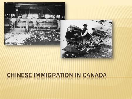 There was a large population increase which lead to shortages of food. The shortages of food lead to not enough farmland and jobs. There were also many.