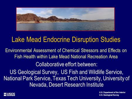 Lake Mead Endocrine Disruption Studies Environmental Assessment of Chemical Stressors and Effects on Fish Health within Lake Mead National Recreation Area.