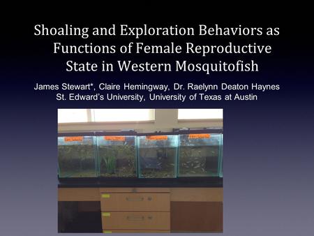 Shoaling and Exploration Behaviors as Functions of Female Reproductive State in Western Mosquitofish James Stewart*, Claire Hemingway, Dr. Raelynn Deaton.