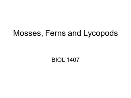 Mosses, Ferns and Lycopods