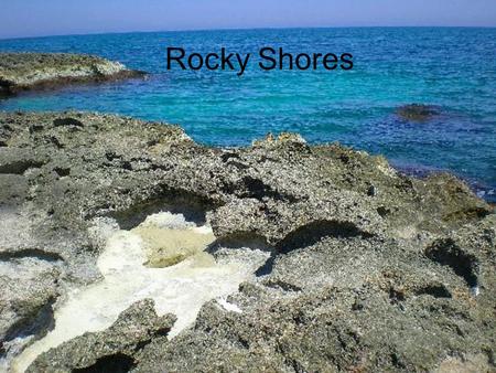 Rocky Shores. Abiotic Factors and Zonation All ocean shores are exposed to tides Intertidal zone or littoral zone – zone between high and low tide marks.