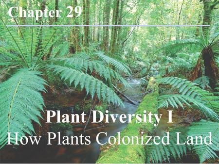 Plant Diversity I How Plants Colonized Land Chapter 29.