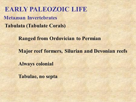 EARLY PALEOZOIC LIFE Metazoan Invertebrates Tabulata (Tabulate Corals) Ranged from Ordovician to Permian Major reef formers, Silurian and Devonian reefs.