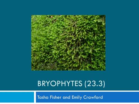 BRYOPHYTES (23.3) Tasha Fisher and Emily Crawford.