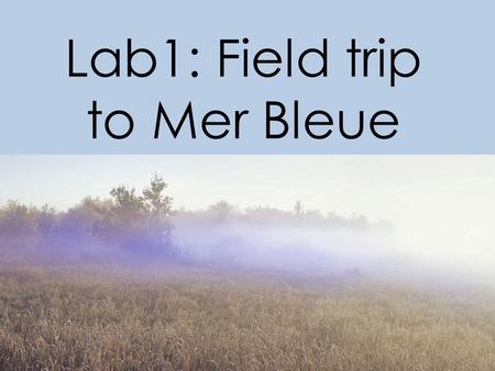 Lab1: Field trip to Mer Bleue