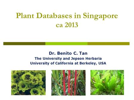 Plant Databases in Singapore ca 2013 Dr. Benito C. Tan The University and Jepson Herbaria University of California at Berkeley, USA.