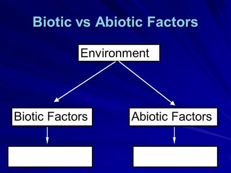 Biotic vs Abiotic Factors