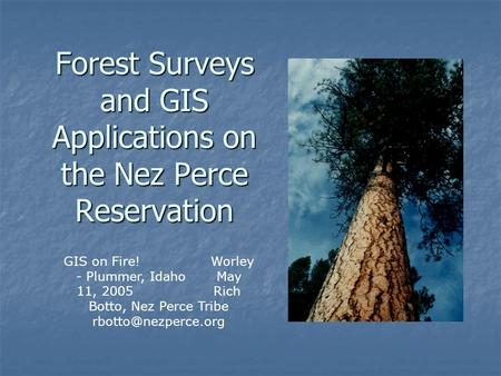 Forest Surveys and GIS Applications on the Nez Perce Reservation GIS on Fire! Worley - Plummer, Idaho May 11, 2005 Rich Botto, Nez Perce Tribe