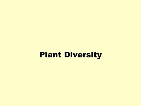 Plant Diversity. Five Kingdom System zKingdom Monera zKingdom Protista zKingdom Planta zKingdom Fungi zKingdom Animalia Protista Monera PlantaPlanta AnimaliaAnimalia.