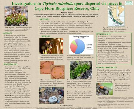 Investigations in Tayloria mirabilis spore dispersal via insect in Cape Horn Biosphere Reserve, Chile BACKGROUND T. mirabilis is a moss of the coprophilous.