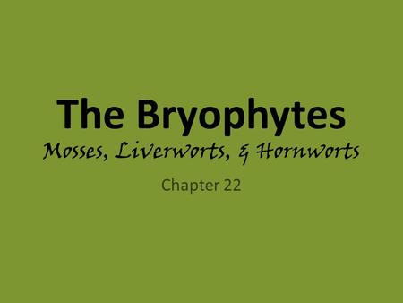 The Bryophytes Mosses, Liverworts, & Hornworts