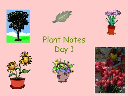 Plant Notes Day 1. Describe Plant Adaptations to Life on Land Plants are multicellular eukaryotic autotrophs 1. Cuticle- protective outer covering Adaptations.