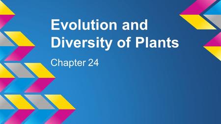 Evolution and Diversity of Plants