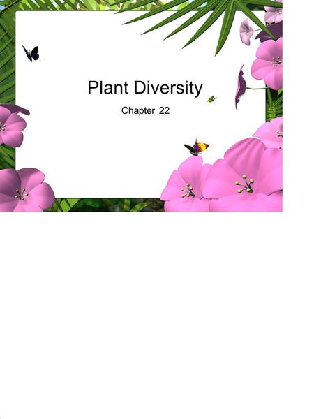 Plant Diversity Chapter 22.