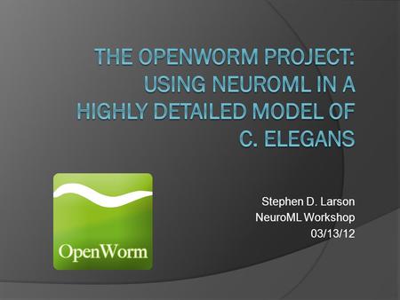 Stephen D. Larson NeuroML Workshop 03/13/12. Enter the worm: c. elegans I’ve only got 1000 cells in my whole body… please simulate me!