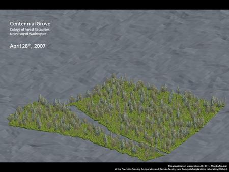 Centennial Grove College of Forest Resources University of Washington April 28 th, 2007 This visualization was produced by Dr. L. Monika Moskal at the.