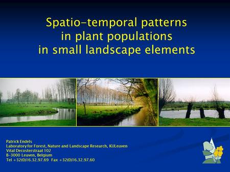 Spatio-temporal patterns in plant populations in small landscape elements Patrick Endels Laboratory for Forest, Nature and Landscape Research, KULeuven.