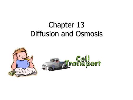 Chapter 13 Diffusion and Osmosis