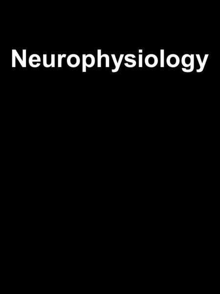 Neurophysiology. The Resting Membrane Potential Intracellular (soma) Extracellular VV -70 mV.