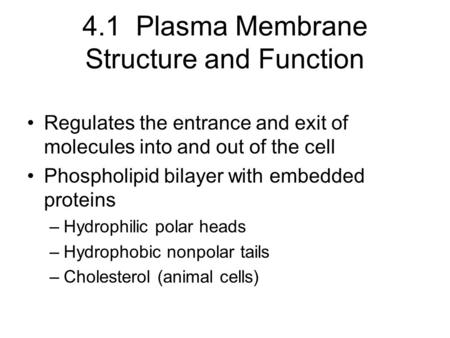 4.1 Plasma Membrane Structure and Function