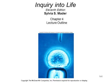 1-1 Inquiry into Life Eleventh Edition Sylvia S. Mader Chapter 4 Lecture Outline Copyright The McGraw-Hill Companies, Inc. Permission required for reproduction.