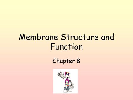 Membrane Structure and Function