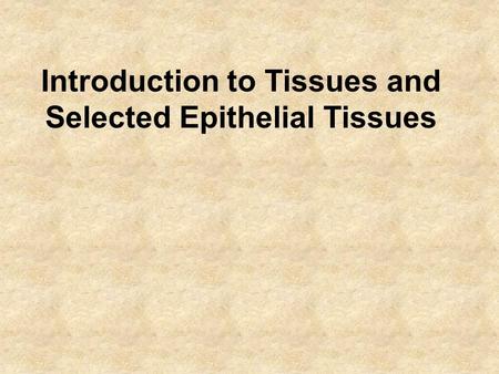 Introduction to Tissues and Selected Epithelial Tissues.