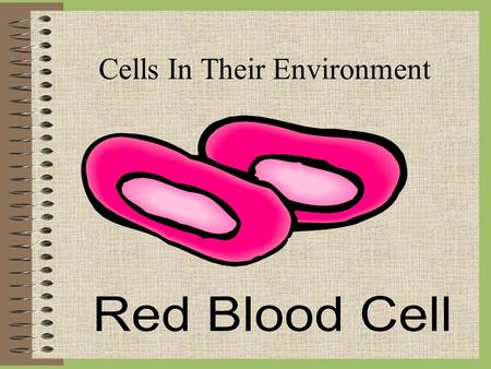 Cells In Their Environment. Review Facts Solution: a uniform mixture of 2 or more substances. Solute: the dissolved substance (salt) Solvent: the dissolving.