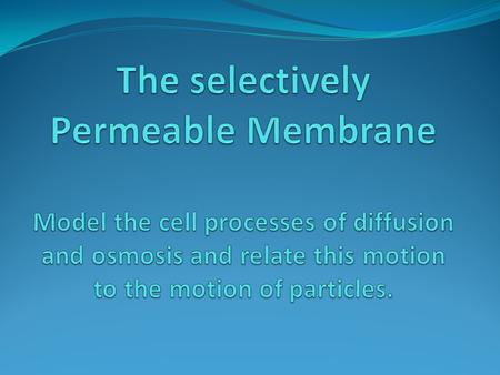 Selectively Permeable Membrane to chooseto pass throughthin outer boundary Gate keeper for friendly folks but not enemies A ? B ?