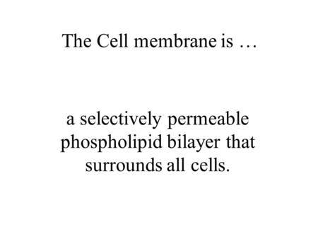 A selectively permeable phospholipid bilayer that surrounds all cells. The Cell membrane is …