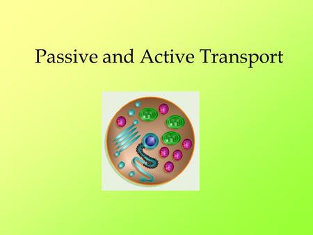 Passive and Active Transport