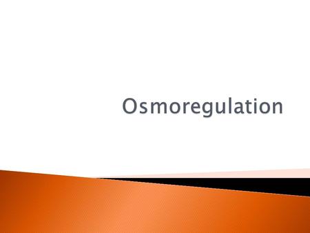  Most metabolic reactions take place in water  Maintenance necessary for homeostasis ◦ Volume ◦ Concentration of solutes  Terrestrial animals have.