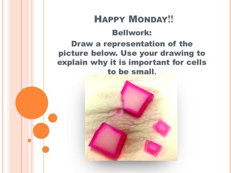 H APPY M ONDAY !! Bellwork: Draw a representation of the picture below. Use your drawing to explain why it is important for cells to be small.