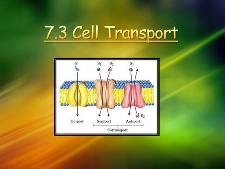 4/15/2017 11:21 PM 7.3 Cell Transport © 2007 Microsoft Corporation. All rights reserved. Microsoft, Windows, Windows Vista and other product names are.