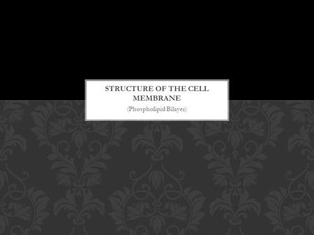 (Phospholipid Bilayer). The Cell Membrane is Semi-Permeable or Selectively Permeable. This means it only allows certain substances to enter/exit the cell.