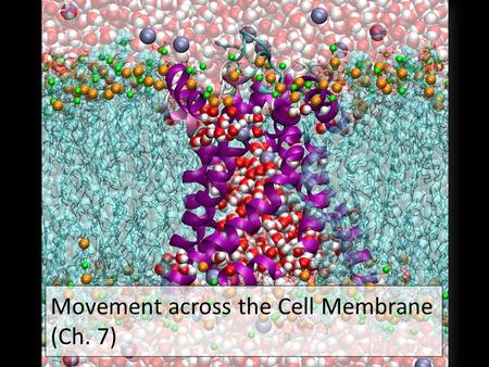 2007-2008 Movement across the Cell Membrane (Ch. 7)