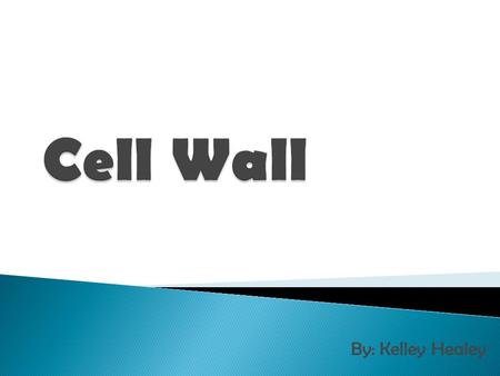 By: Kelley Healey.  Primary found in plants  Made from a specialized sugar called cellulose  Rigid extracellular layer  Limits the amount of large.