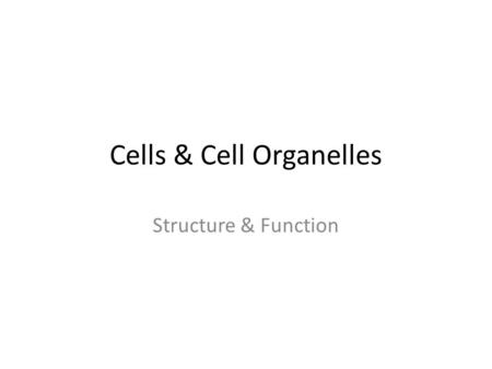 Cells & Cell Organelles