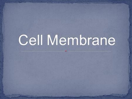 Cell Membrane.