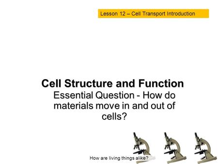 Cell Structure and Function