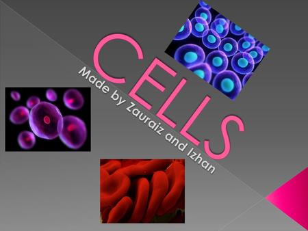 Cells are so tiny that they can only be seen under a microscope. In 1590 Dutch lens grinder Hans and Zacharias Janssen made the first microscope by.