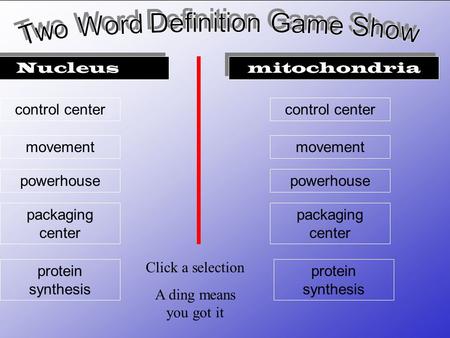 Nucleus control center protein synthesis movement packaging center powerhouse mitochondria control center protein synthesis movement packaging center.
